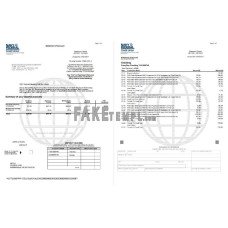 USA Navy Federal Union fake bank statement Word and PDF template(5 pages)