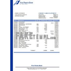 USA Nebraska Five Points Bank credit card fake statement Word and PDF template