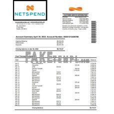 USA Netspend fake bank statement Word and PDF template