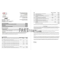 USA New York CFSB fake bank statement Excel and PDF template, 2 pages