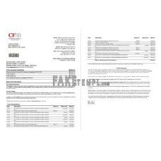 USA New York CFSB fake bank statement Word and PDF template, 2 pages