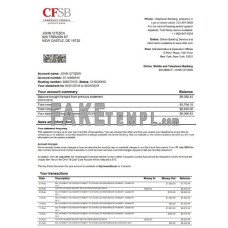 USA New York CFSB fake bank statement Word and PDF template