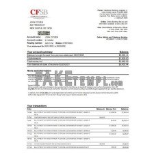 USA New York CFSB fake bank statement Excel and PDF template