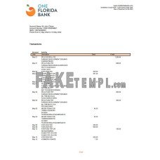 USA One fake bank statement Word and PDF template, 4 pages