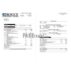 USA Oregon Rogue fake bank statement Word and PDF template, 3 pages