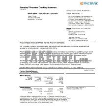 USA PNC fake bank statement Word and PDF template