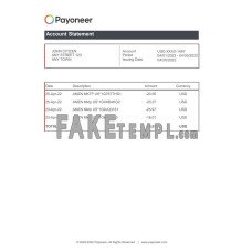 USA Payoneer account fake bank statement Excel and PDF template