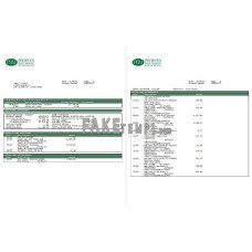 USA Peoples Bank Midwest (PBM) fake bank statement Word and PDF template, 5 pages