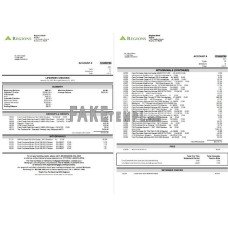 USA Regions fake bank statement Word and PDF template, 3 pages, version 2