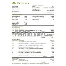 USA Regions fake bank statement Excel and PDF template