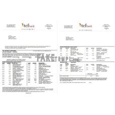 USA TCF fake bank statement Word and PDF template, 3 pages