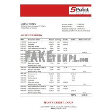 USA Texas 5Point fake bank statement Excel and PDF template