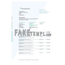 USA TransferWise Finances fake bank statement Word and PDF template