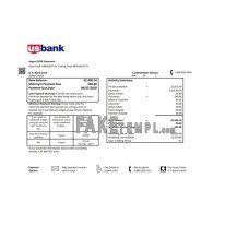 USA U.S. bank credit card fake statement Word and PDF template