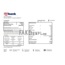 USA U.S. fake bank Credit card statement  Excel and PDF template