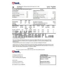 USA U.S. fake bank Credit card statement  Excel and PDF template, version 2