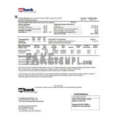 USA U.S. bank credit card fake statement Word and PDF template, version 2