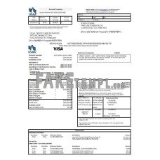 USA USAA fake bank Credit card statement  Excel and PDF template