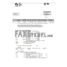 USA USAA fake bank statement Word and PDF template, 5 pages