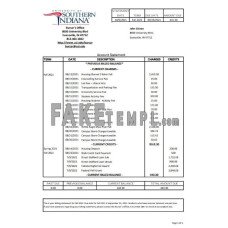 USA University of Southern Indiana account billing fake bank statement Excel and PDF template