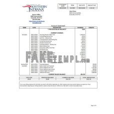 USA University of Southern Indiana account billing fake bank statement Word and PDF template