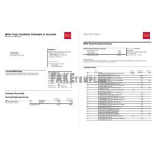 USA Wells Fargo fake bank statement Word and PDF template, 7 pages