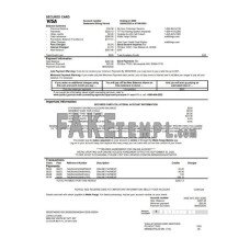 USA Wells Fargo bank credit card fake statement Word and PDF template