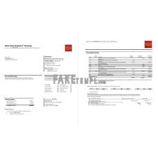 USA Wells Fargo fake bank statement Word and PDF template, 3 pages