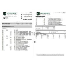 USA Woodforest fake bank statement Word and PDF template, 3 pages