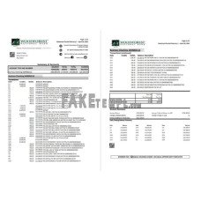 USA Woodforest fake bank statement Excel and PDF template, 3 pages