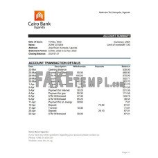 Uganda Cairo fake bank statement Excel and PDF template