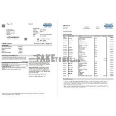 United Kingdom Halifax fake bank statement Excel and PDF template (2 pages)