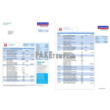 United Kingdom Nationwide fake bank statement Word and PDF template(5 pages)