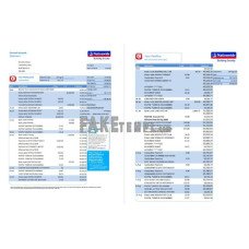 United Kingdom Nationwide fake bank statement Excel and PDF template (5 pages)