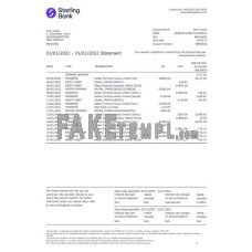 United Kingdom Starling fake bank statement Word and PDF template, version 2