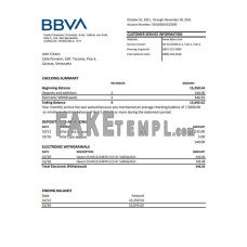 Venezuela BBVA fake bank statement Excel and PDF template