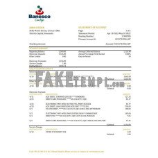 Venezuela Banesco fake bank statement Excel and PDF template