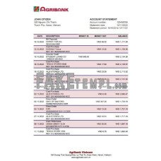 Vietnam Agribank fake bank statement Excel and PDF template