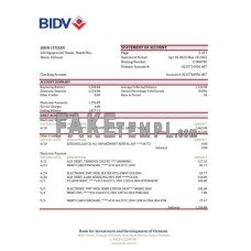 Vietnam BIDV fake bank statement Excel and PDF template