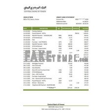 Yemen Central Bank of Yemen fake bank statement Excel and PDF template