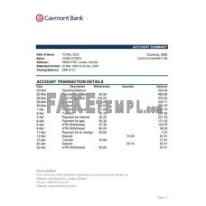 Zambia Cavmont fake bank statement Excel and PDF template