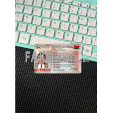 Belarus fake driving license photolook template PSD, scan and photo-realistic look