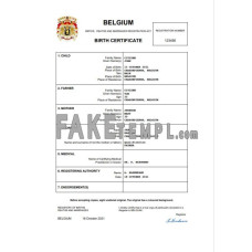 Belgium vital record fake birth certificate Word and PDF template