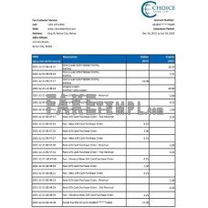 Belize Choice fake bank statement Excel and PDF template