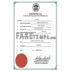 Belize birth certificate, Apostille PSD template, version 2