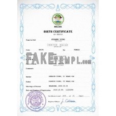 Belize fake vital record birth certificate photoshop template PSD 