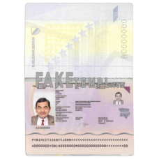 Bosnia and Herzegovina fake standard passport photoshop template PSD