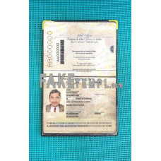 Brazil fake passport photolook template PSD, scan and photo-realistic look (2019-present) 