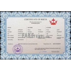 Brunei fake vital record birth certificate photoshop template PSD