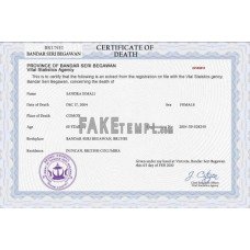 Brunei fake vital record death photoshop certificate PSD